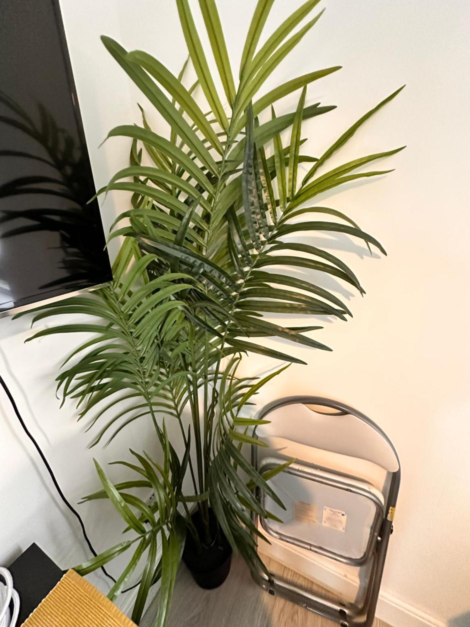 Lovely Self Contained Studio Now Available ロンドン エクステリア 写真